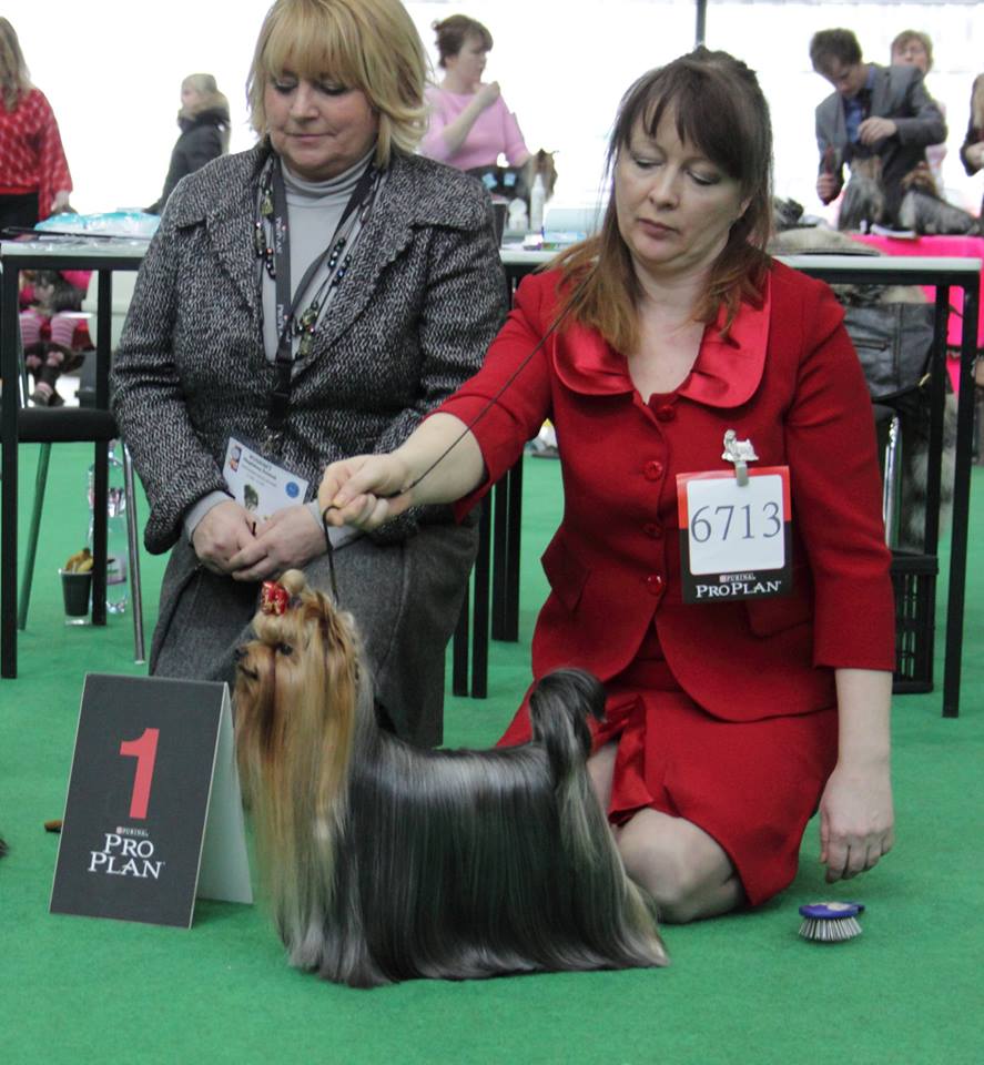 CARUSO DE LA PAM'POMMERAIE