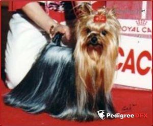 PRISCILLA DE LA PAM'POMMERAIE