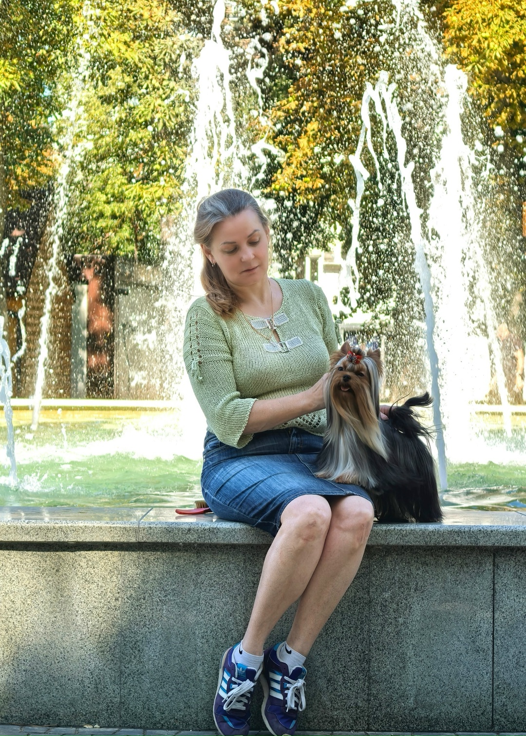 OPEN TO MY HEART EMMA'S CAPRICE — Labaza DogPedigree YorkshireTerrier