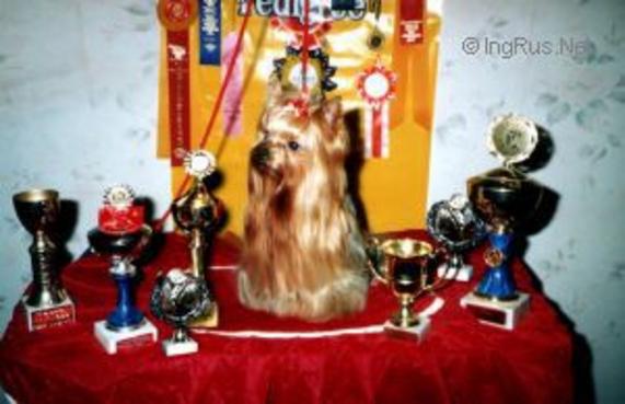 BLUE HEAVEN’S ENIGMA