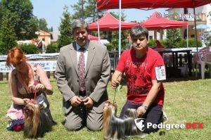 MY NEW XMAS STAR STRIBRNE PRANI