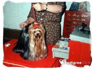 HODERLAY DE L'ECLIPSE ROYALE