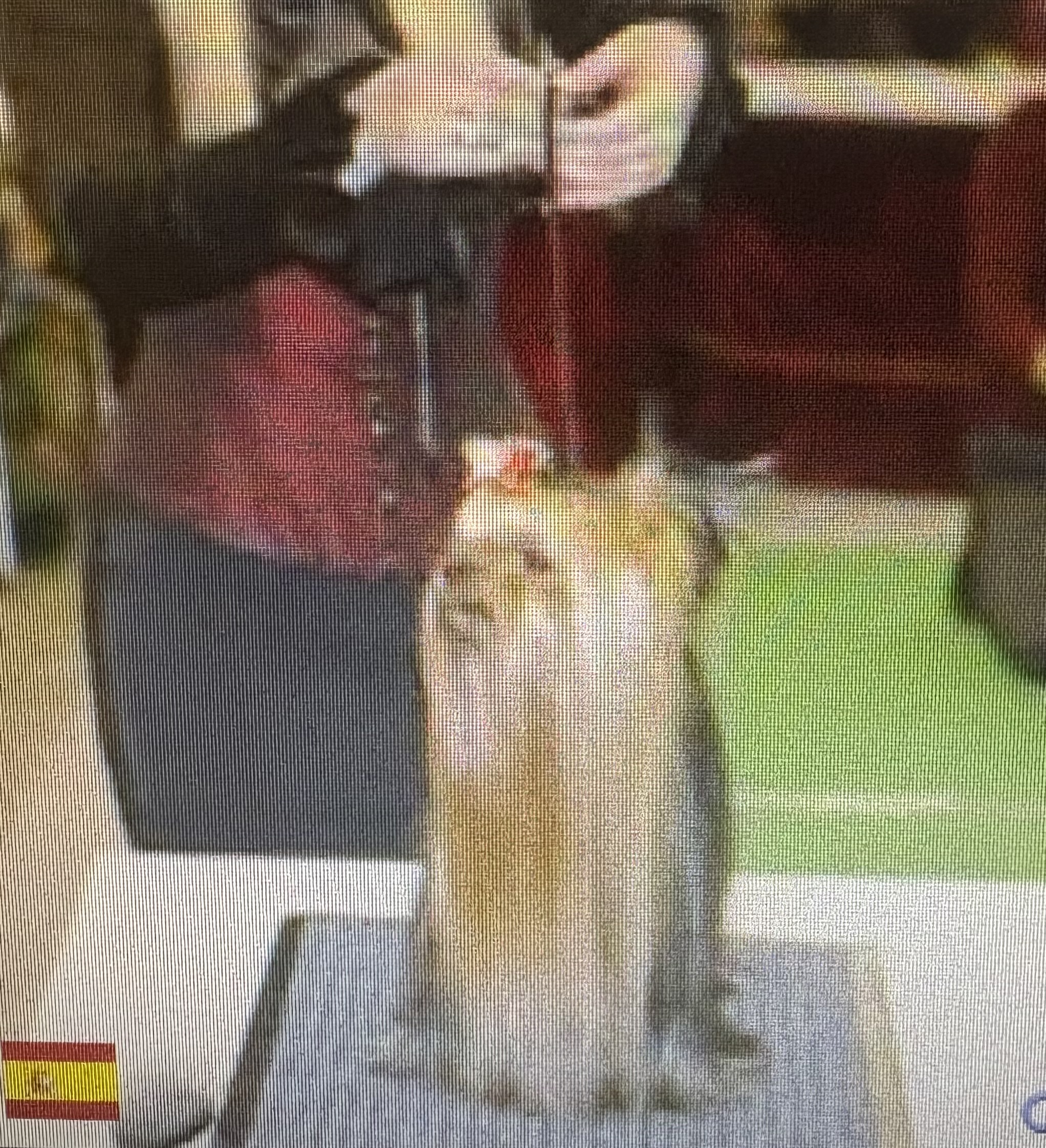 LEWIS FOR SILVERPOISE DE HARA MACAO