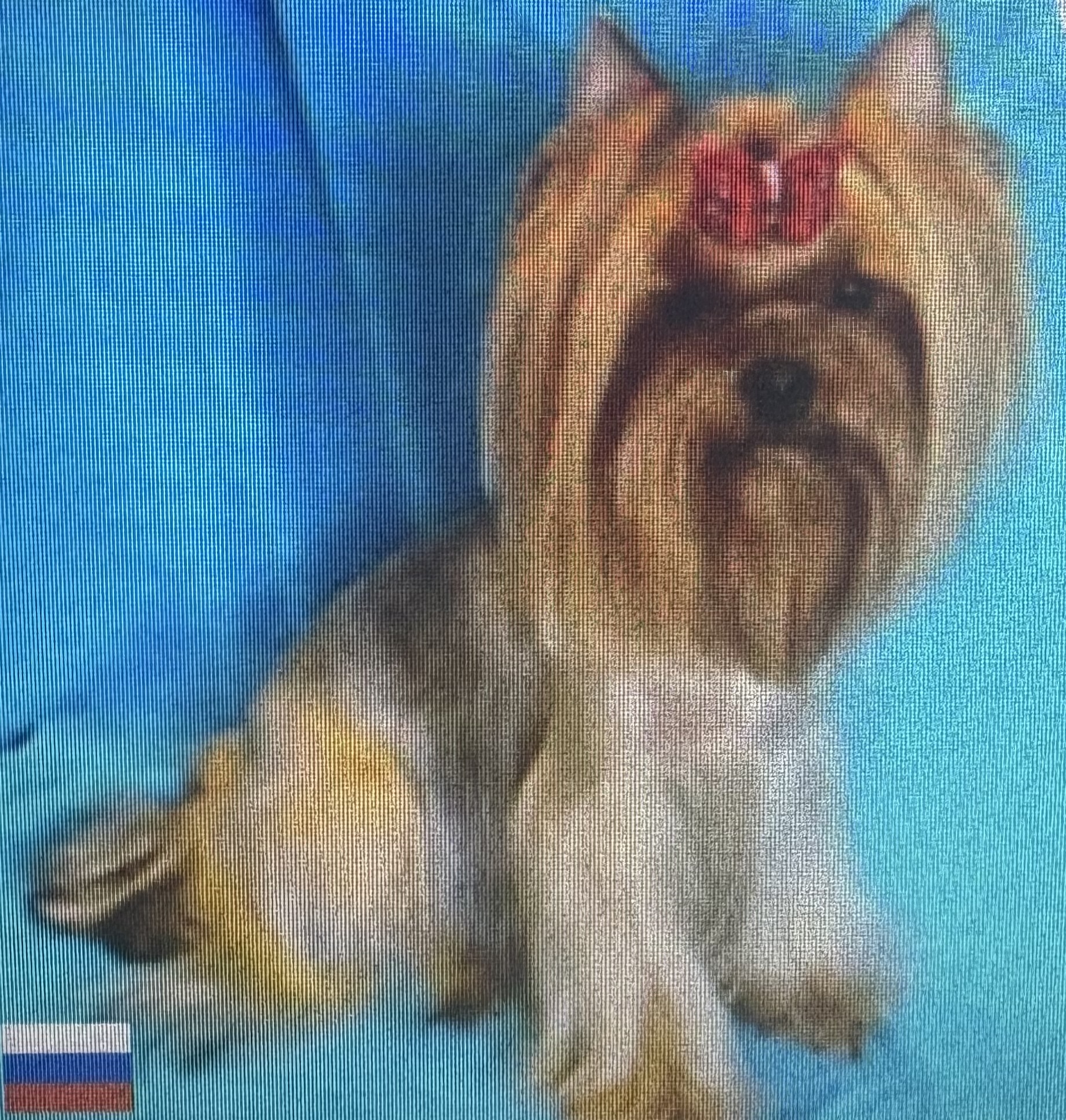 ETIKA MISS OCHAROVANIE