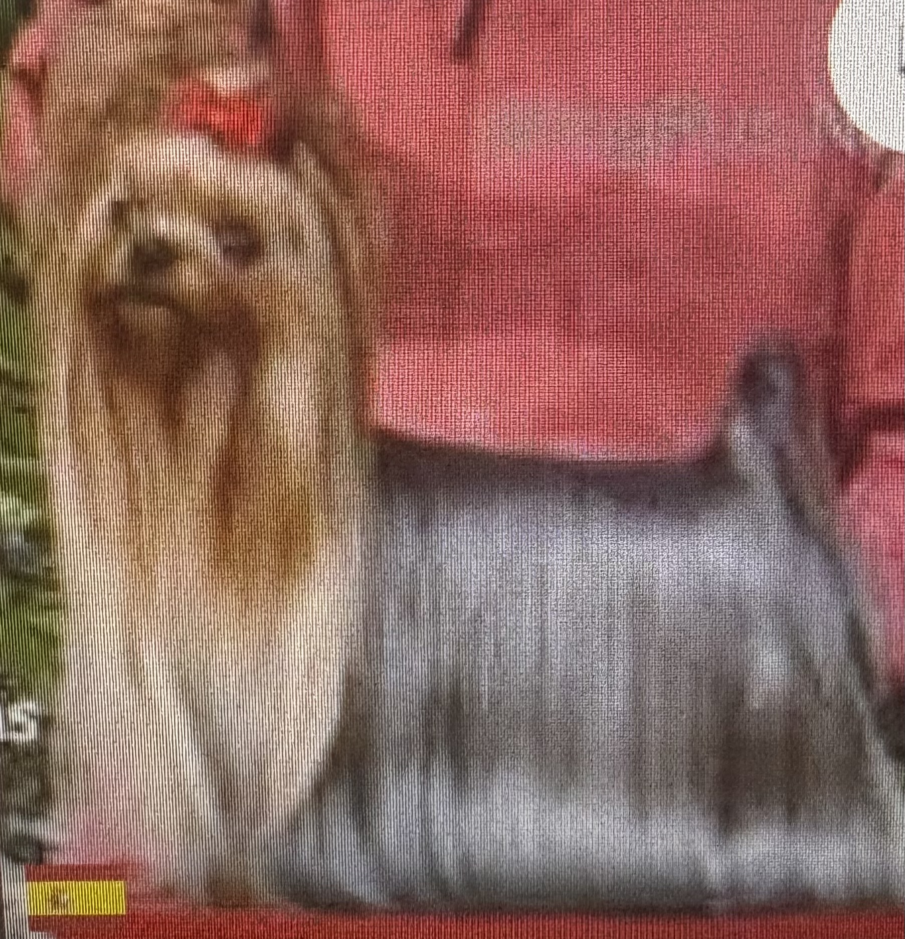 ESTUGO'S DARK ANGEL — Labaza DogPedigree YorkshireTerrier