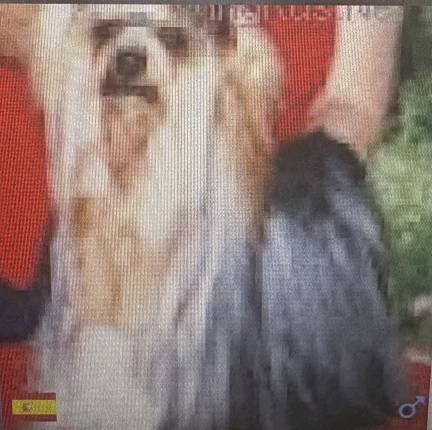 LETTRE D'AMOUR DE L'ECLIPSE ROYALE — Labaza DogPedigree YorkshireTerrier