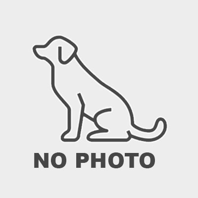 BARBIE REM HA BARSEL