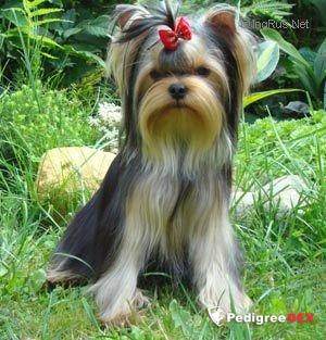 KENDLAIT FAME IS MY NAME