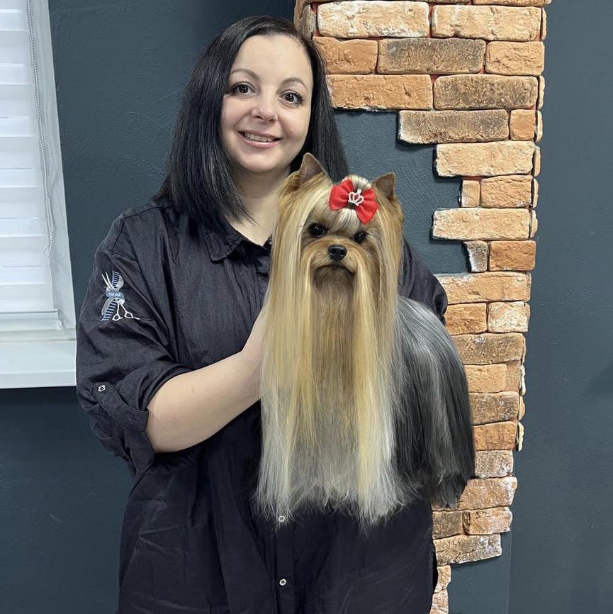 credo_experto_kennel — Labaza DogPedigree YorkshireTerrier