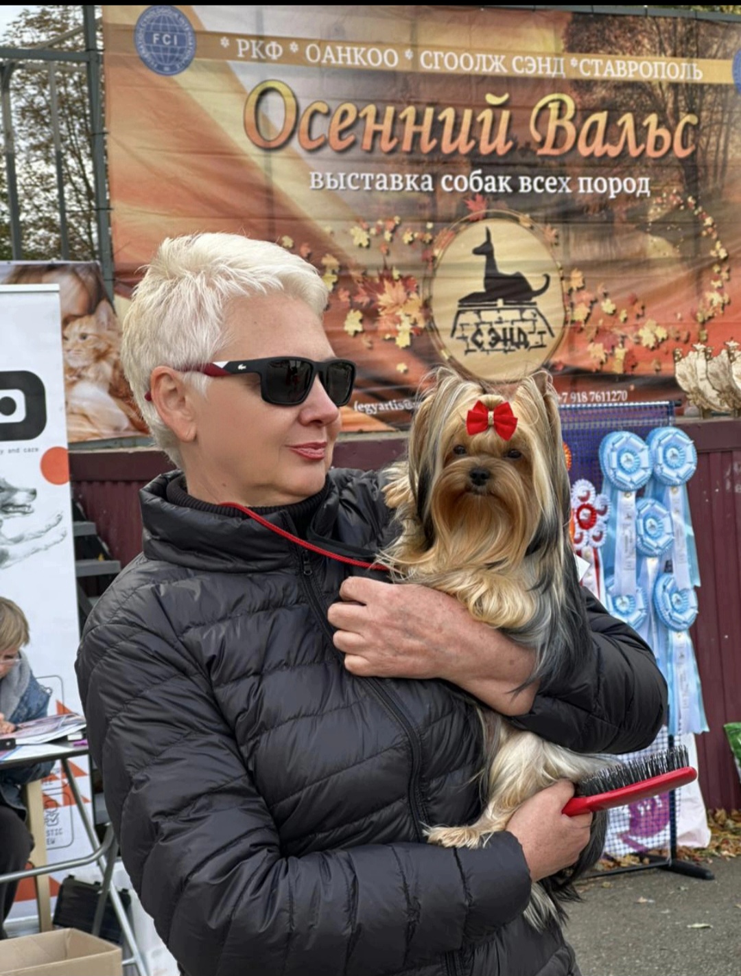 Виктория Демина — Labaza DogPedigree YorkshireTerrier