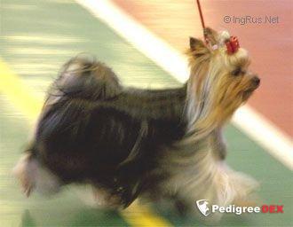 QOCCLE'S ENJOY THE CHALLENGE