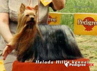 PATAJOHN SANDPIPER AT BRONTIGAER