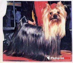 DE MAJODIAN FRENCH KISS