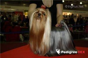 DOVERCASTLE WINSTON CHURCHILL