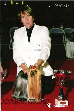 SHANGAI EXPRESS DU DOMAINE DE MONDERLAY — Labaza DogPedigree YorkshireTerrier