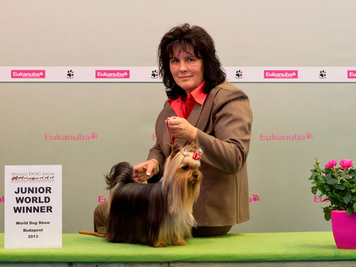 Emma`s Caprice — Labaza DogPedigree YorkshireTerrier