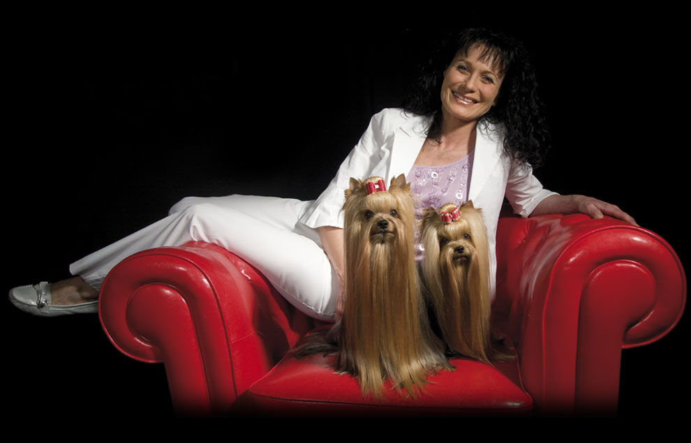 Emma`s Caprice — Labaza DogPedigree YorkshireTerrier