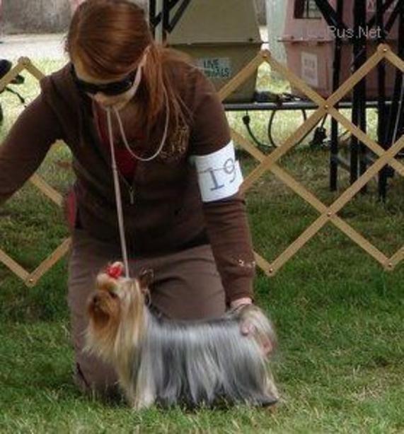 LAKEWOOD SNICKERDOODLE