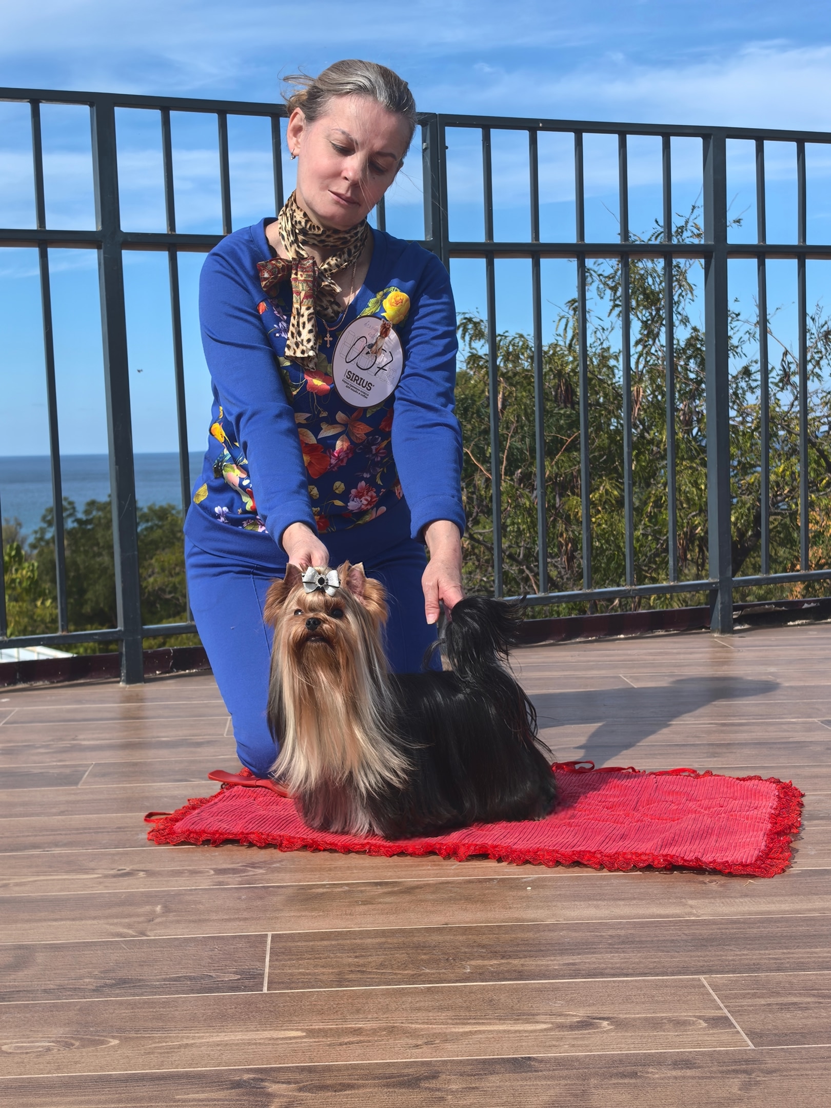 Emma`s Caprice OVER FLOWERS EMMA'S CAPRICE — Labaza DogPedigree YorkshireTerrier