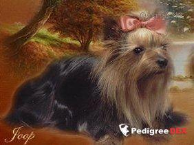 SIR DOUGLAS VAN ANASOR