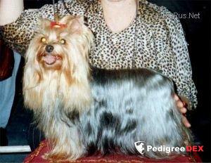 VENCENTA MAFI ANN ERVIT