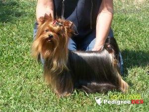 TSA-LA-GI BULLET PROOF