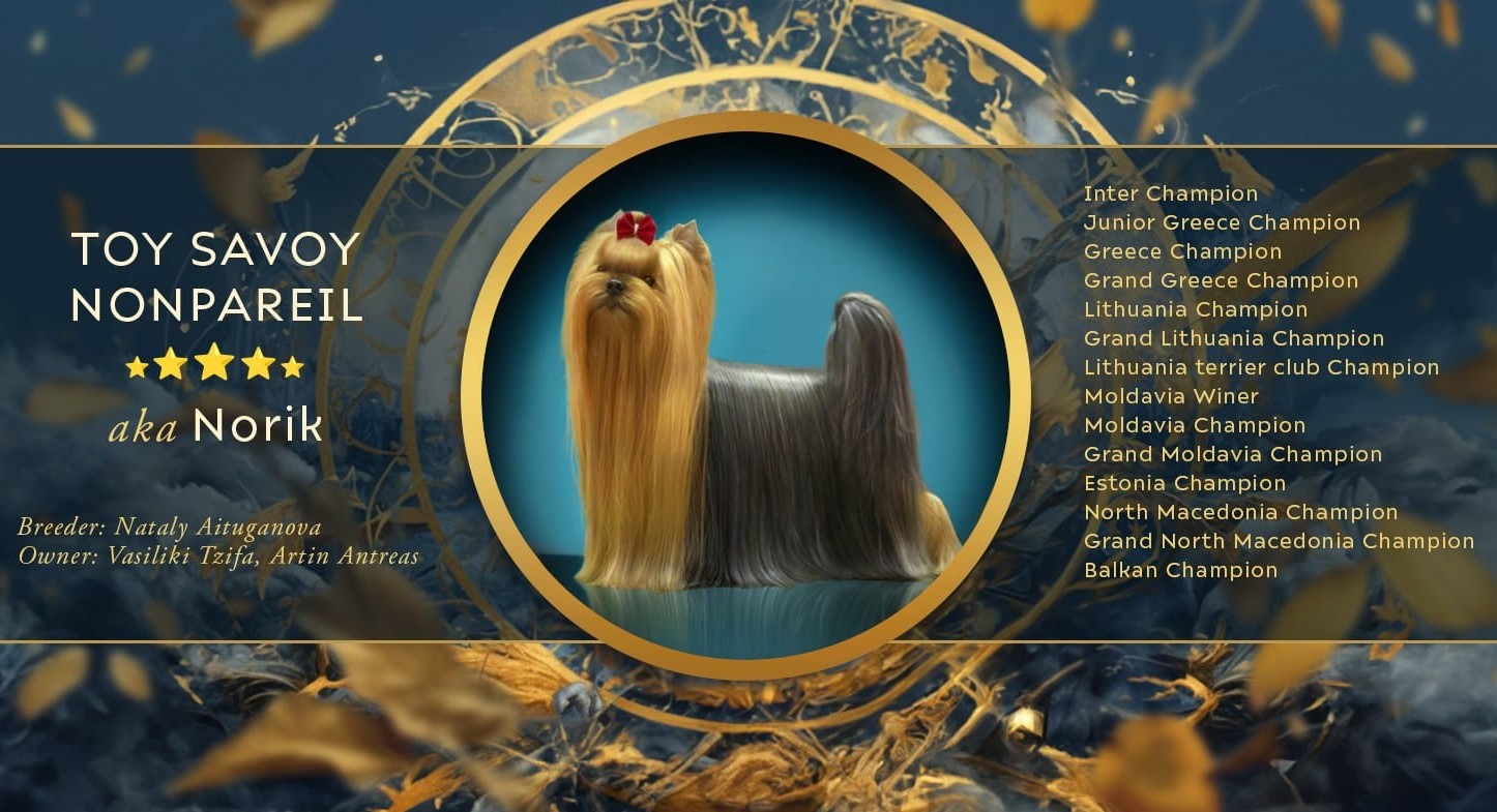 TOY SAVOY TOY SAVOY NONPAREIL — Labaza DogPedigree YorkshireTerrier