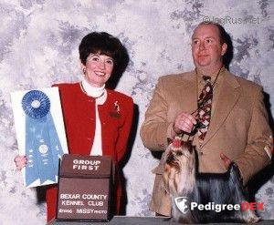  THIS TIME PORTFOLIO — Labaza DogPedigree YorkshireTerrier