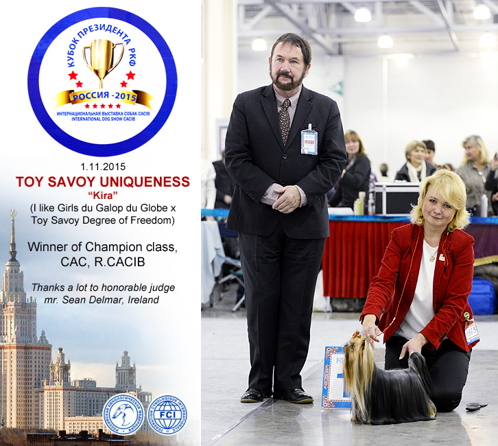 TOY SAVOY TOY SAVOY UNIQUENESS — Labaza DogPedigree YorkshireTerrier