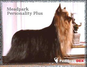 MEADPARK PERSONALITY PLUS