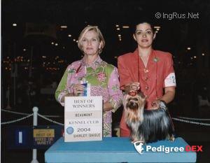 GUEMART'S DIVINE LIMIT