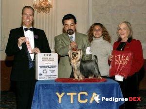  GUEMART'S MAGIC SKY — Labaza DogPedigree YorkshireTerrier