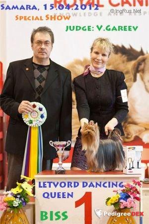  LETVORD DANCING QUEEN — Labaza DogPedigree YorkshireTerrier