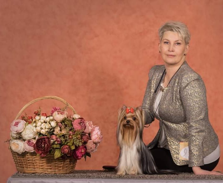 LARANTA KORRIDA — Labaza DogPedigree YorkshireTerrier