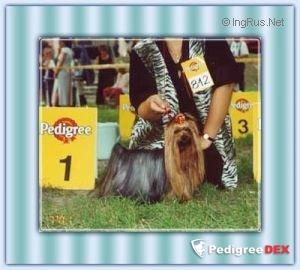 TIFFANY'S MAJOR THREAT