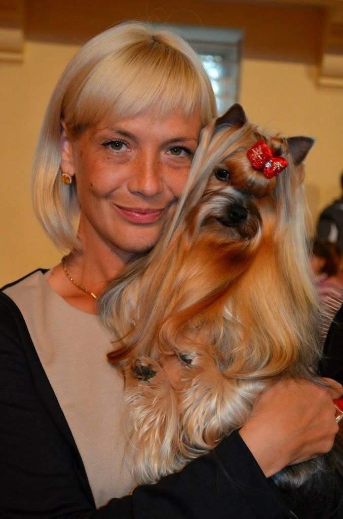 Royal Boutique ROYAL BOUTIQUE LOVE STORY &mdash; Labaza DogPedigree YorkshireTerrier