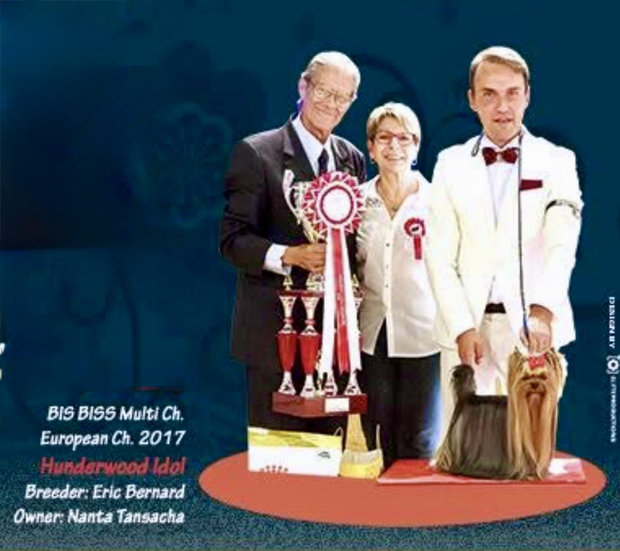  HUNDERWOOD IDOL &mdash; Labaza DogPedigree YorkshireTerrier