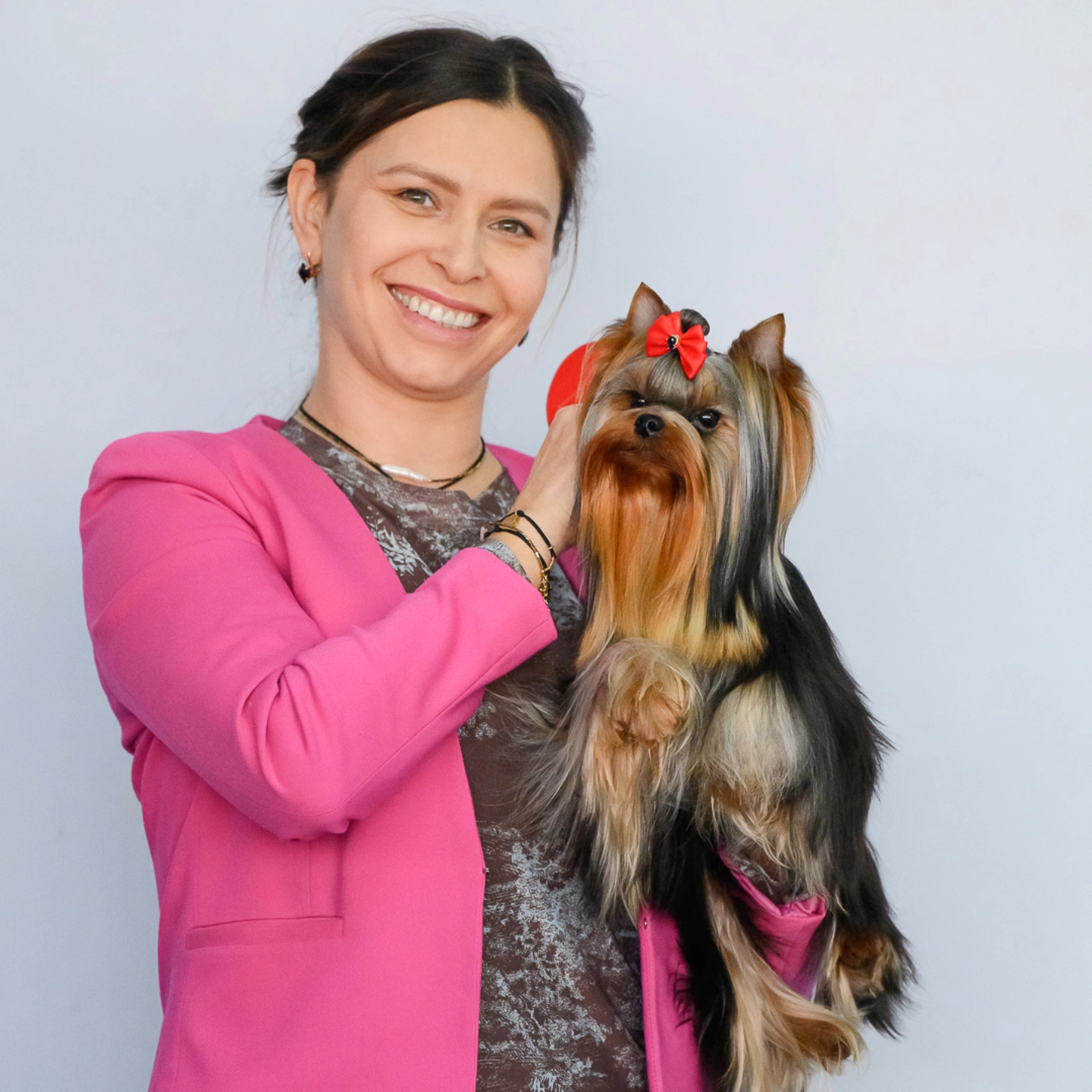 Yorkinata &mdash; Labaza DogPedigree YorkshireTerrier