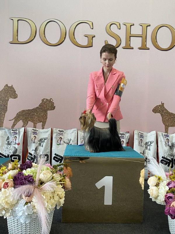 LA FLOR TIERNA PALMA DE MAJORKA &mdash; Labaza DogPedigree YorkshireTerrier