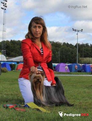 LOTUS MI KOCHAV HA-CARMEL