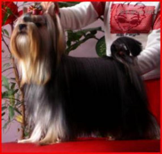 CARMEN OF MARYON’S HOME