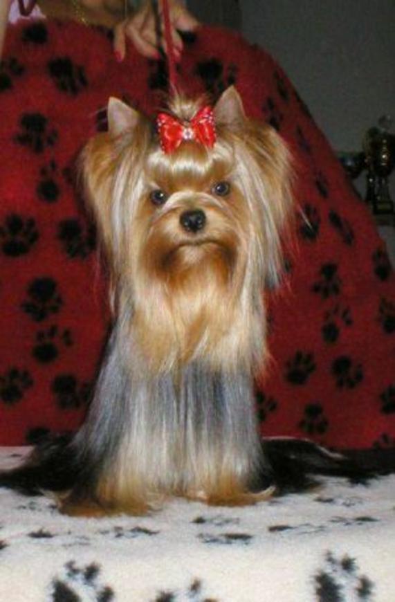 JACQUELINE OF MARYONS'S HOME