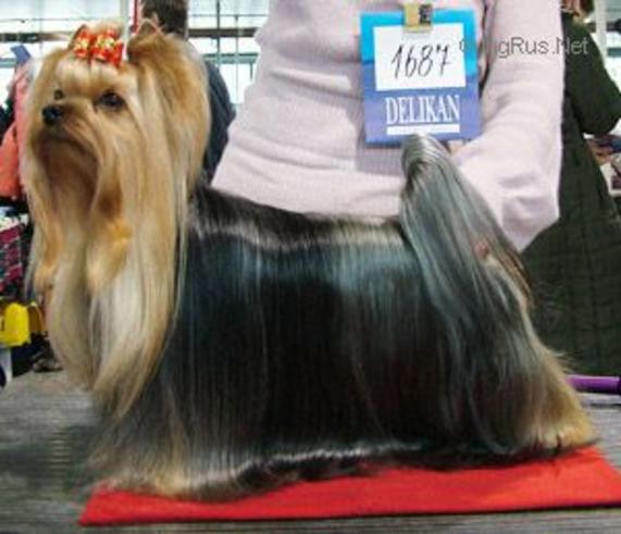 CALISTA OF MARYON’S HOME