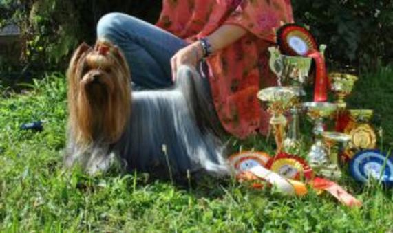 ANASTASIA YORK GIVENCHY