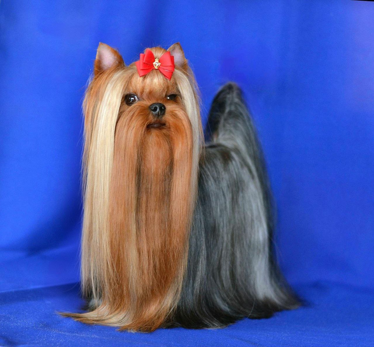 ENDLESS BLISS ZERO GRAVITY