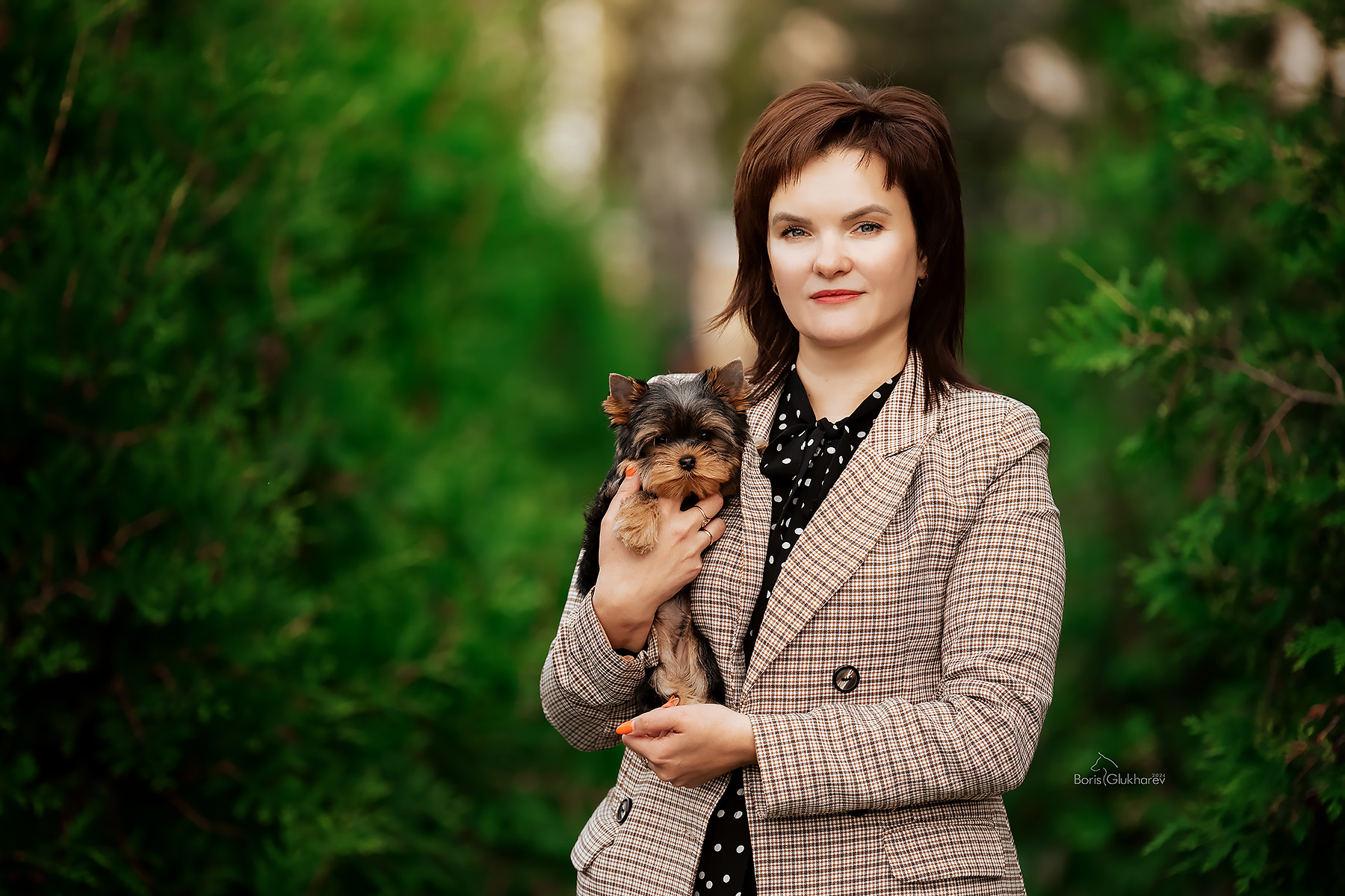 DINASTIYA MARI-MOORE &mdash; Labaza DogPedigree YorkshireTerrier