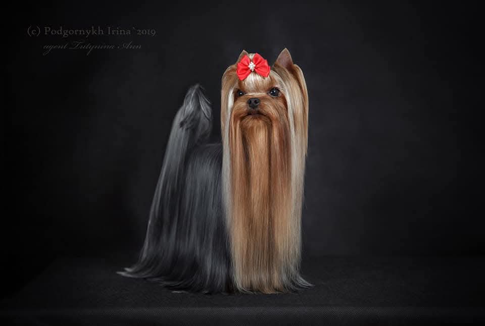 SELENA DRIM VANKUVER