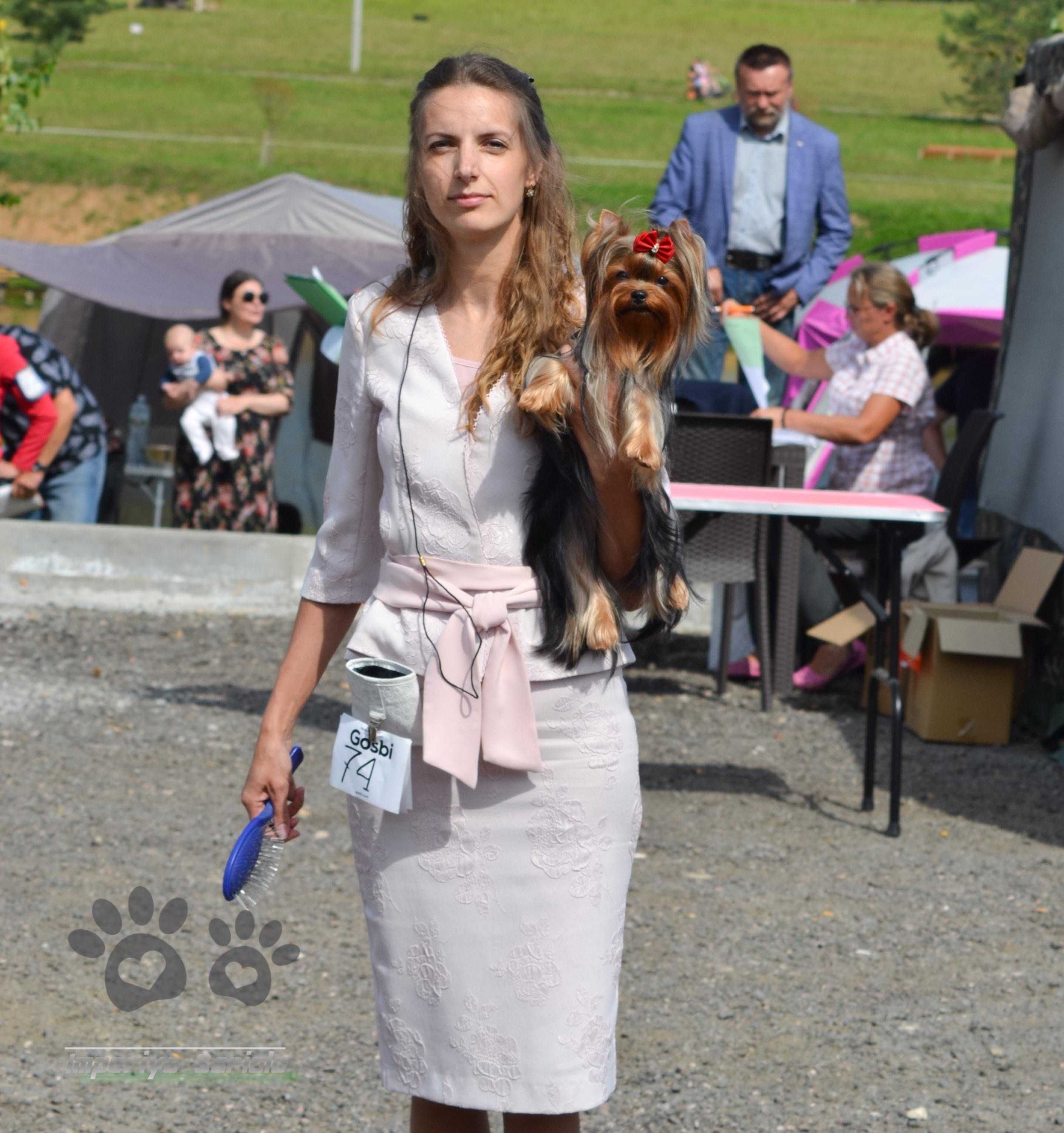 SARIOLO REVDA LA MIA ANOMA FOR IMPERIYA SARIOLO &mdash; Labaza DogPedigree YorkshireTerrier