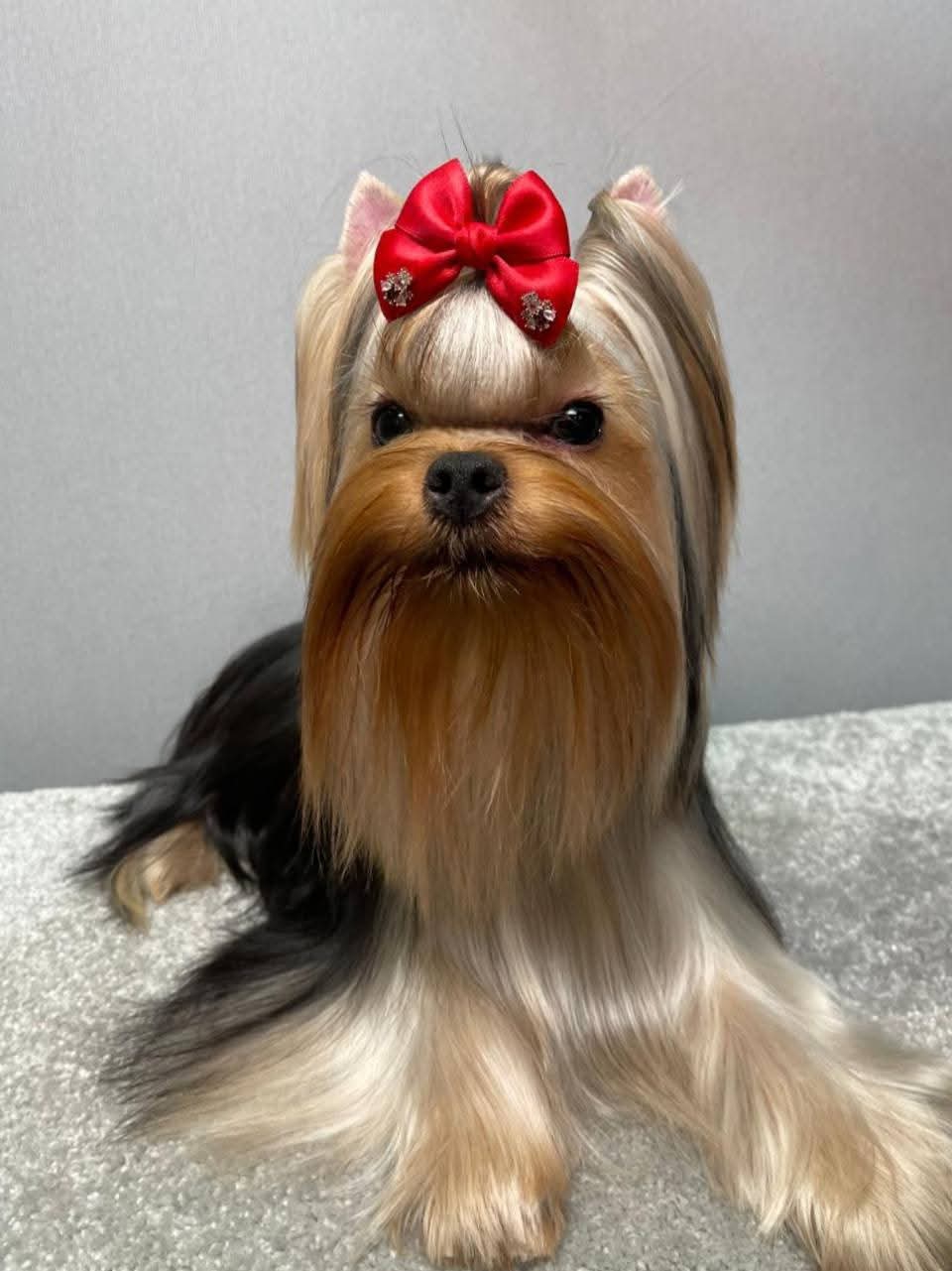 STREET FLASH DEJA VU