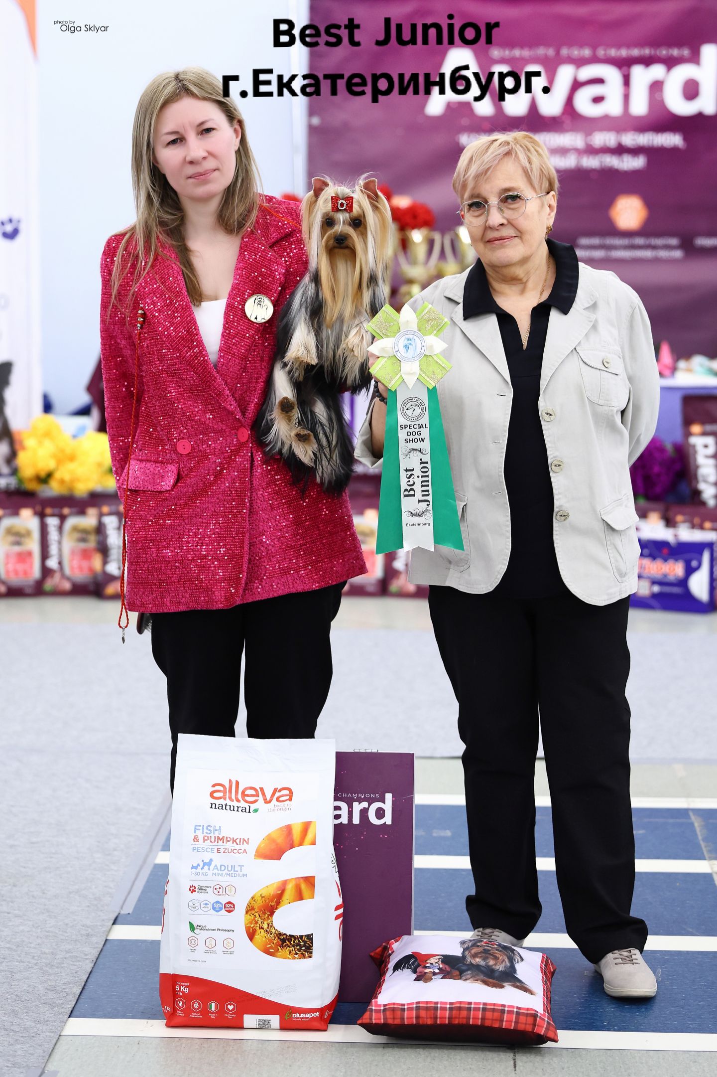 CHIESA DOLCE VITA &mdash; Labaza DogPedigree YorkshireTerrier